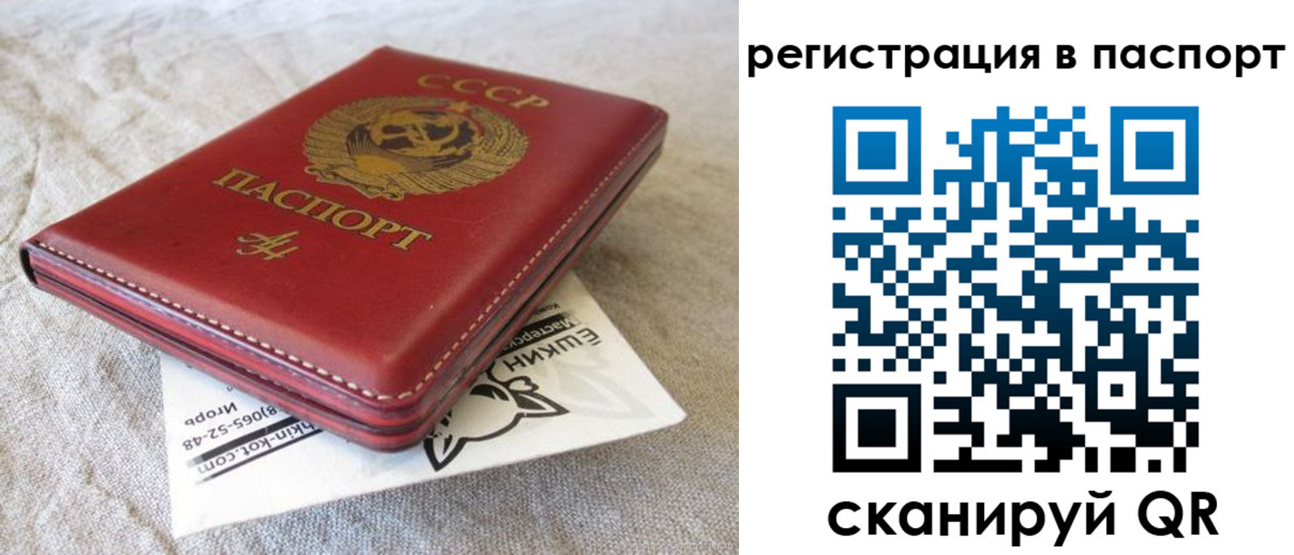 где прописаться в Хадыженске